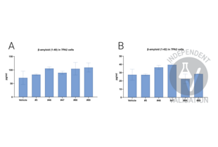 ELISA validation image for Amyloid beta 1-40 (Abeta 1-40) ELISA Kit (ABIN6964815)