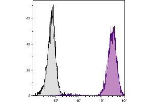 Human peripheral blood granulocytes were stained with Mouse Anti-Human CD15-PE. (CD15 Antikörper  (FITC))