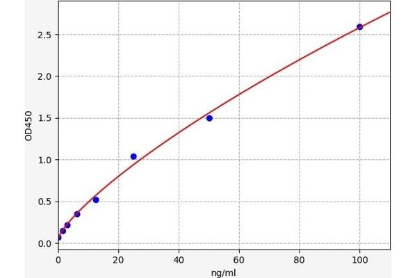 HBXIP ELISA Kit