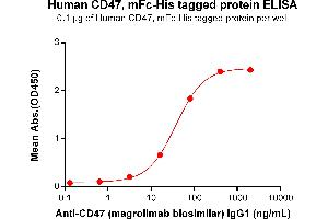 ELISA plate pre-coated by 1 μg/mL (100 μL/well) Human CD47, mFc-His tagged protein ABIN6961081, ABIN7042191 and ABIN7042192 can bind Anti-CD47(magrolimab biosimilar,IgG1) ABIN7093068 and ABIN7272598 in a linear range of 3. (Rekombinanter CD47 (Magrolimab Biosimilar) Antikörper)
