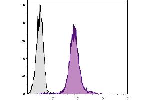 C57BL/6N T lymphocyte cell line EL-4 was stained with Hamster Anti-Mouse CD28-PE. (CD28 Antikörper)