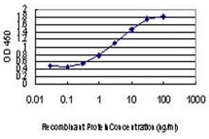 Detection limit for recombinant GST tagged ABCC8 is approximately 0. (ABCC8 Antikörper  (AA 611-710))