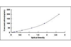 ELISA image for Insulin-Like Growth Factor Binding Protein 4 (IGFBP4) ELISA Kit (ABIN6730875)