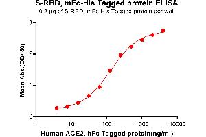 ELISA plate pre-coated by 2 μg/mL (100 μL/well) S-RBD, mFc-His tagged protein (ABIN6961147, ABIN7042323 and ABIN7042324) can bind Human , hFc Tagged protein ABIN6961131, ABIN7042291 and ABIN7042292 in a linear range of 0. (SARS-CoV-2 Spike Protein (RBD) (mFc-His Tag))