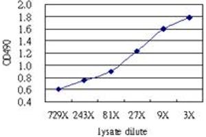 Sandwich ELISA detection sensitivity ranging from approximately 729x to 3x dilution of the IFITM3 293T overexpression lysate (non-denatured). (IFITM3 (Human) Matched Antibody Pair)