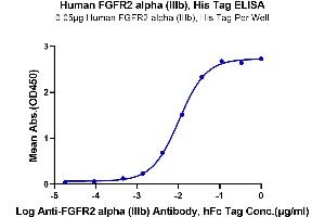 ELISA image for FGFR2 alpha (AA 22-378) protein (His tag) (ABIN7274648)