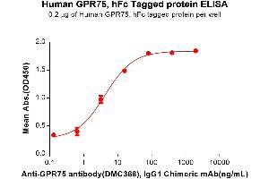 ELISA plate pre-coated by 2 μg/mL (100 μL/well) Human Protein, hFc Tag (ABIN7455424, ABIN7490705 and ABIN7490707) can Anti- antibody, IgG1 Chimeric mAb in a linear range of 0. (GPR75 Protein (AA 1-46) (Fc Tag))