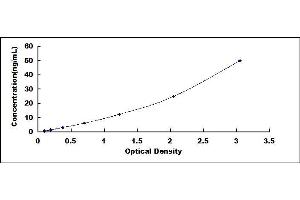 Typical standard curve (IgA Secretory Component ELISA Kit)