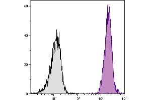 BALB/c mouse splenocytes were stained with Mouse Anti-Mouse H-2Kd/H-2Dd-PE. (H-2Kd/H-2Dd Antikörper (PE))