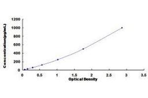 ELISA image for Chemokine (C-X-C Motif) Ligand 13 (CXCL13) ELISA Kit (ABIN424957) (CXCL13 ELISA Kit)