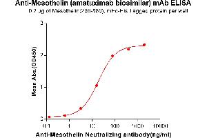 ELISA plate pre-coated by 2 μg/mL (100 μL/well) Human Mesothelin, mFc-His tagged protein ABIN6961104, ABIN7042237 and ABIN7042238 can bind Anti-Mesothelin Neutralizing antibody in a linear range of 3. (Rekombinanter Mesothelin (Amatuximab Biosimilar) Antikörper)