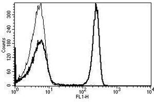 A typical staining pattern with the B-A1 monoclonal antibody of lymphocytes (CD4 Antikörper)