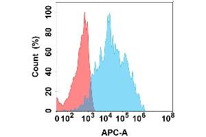 Flow cytometry analysis with Anti-IL4RA on Expi293 cells transfected with human IL4RA (Blue histogram) or Expi293 transfected with irrelevant protein (Red histogram). (IL4 Receptor Antikörper)