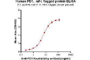 ELISA plate pre-coated by 2 μg/mL (100 μL/well) Human PD1, mFc-His tagged protein (ABIN6961098, ABIN7042225 and ABIN7042226) can bind Anti-PD-1 Neutralizing antibody ABIN6964419 and ABIN7272555 in a linear range of 0. (PD-1 Protein (AA 24-170) (mFc-His Tag))