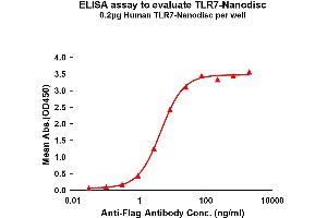 Elisa plates were pre-coated with Flag Tag -Nanodisc (0. (TLR7 Protein)