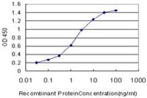 ELISA image for anti-RAB7B, Member RAS Oncogene Family (RAB7B) (AA 100-199) antibody (ABIN567027)