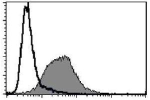 Flow cytometric analysis of mouse CD63 expression on WEHI-3B. (CD63 Antikörper)