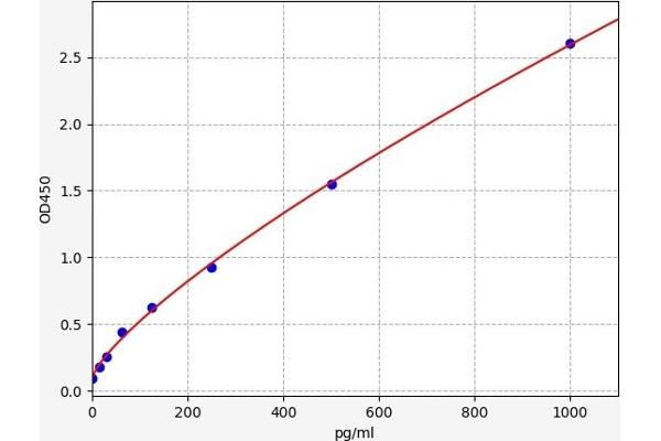 DCLK1 ELISA Kit