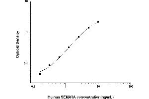 SEMA3A ELISA Kit