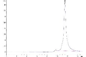 Size-exclusion chromatography-High Pressure Liquid Chromatography (SEC-HPLC) image for Leukocyte Immunoglobulin-Like Receptor, Subfamily B (With TM and ITIM Domains), Member 2 (LILRB2) (AA 22-229) protein (His tag) (ABIN7275165)