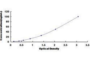 ELISA image for IgM ELISA Kit (ABIN414162) (IgM ELISA Kit)