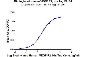 ELISA image for VEGF Receptor 2 (VEGFR2) (AA 20-764) protein (His-Avi Tag,Biotin) (ABIN7275838)