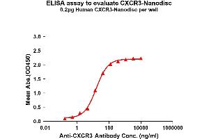 CXCR3 Protein