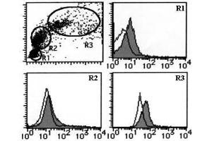 Flow Cytometry (FACS) image for anti-Transferrin Receptor (p90, CD71) (TFRC) antibody (ABIN1449271) (Transferrin Receptor Antikörper)