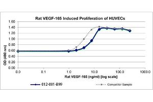 SDS-PAGE of Rat Vascular Endothelial Growth Factor-165 Recombinant Protein Bioactivity of Rat Vascular Endothelial Growth Factor-165 Recombinant Protein. (VEGF 165 Protein)