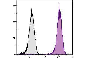 Human T cell leukemia cell line Jurkat was intracellularly stained with Mouse Anti-Human CD107a-PE. (LAMP1 Antikörper  (PE))