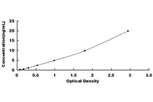 DPEP3 ELISA Kit