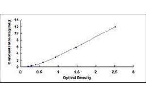 ELISA image for Insulin-Like Growth Factor 1 (IGF1) ELISA Kit (ABIN6730874)