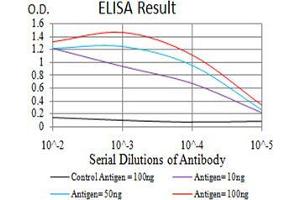 Black line: Control Antigen (100 ng);Purple line: Antigen (10ng); Blue line: Antigen (50 ng); Red line:Antigen (100 ng) (CD57 Antikörper  (AA 193-334))