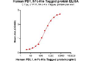 ELISA plate pre-coated by 2 μg/mL (100 μL/well) Human PD1, hFc-His tagged protein (ABIN6961149, ABIN7042327 and ABIN7042328) can bind Human , mFc-His tagged protein ABIN6961096, ABIN7042221 and ABIN7042222 in a linear range of 62. (PD-1 Protein (AA 25-167) (Fc-His Tag))