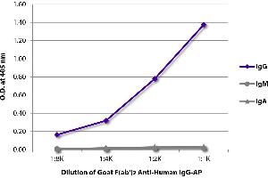 ELISA plate was coated with purified human IgG, IgM, and IgA. (Ziege anti-Human IgG (Heavy Chain) Antikörper (Alkaline Phosphatase (AP)))