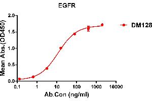 ELISA plate pre-coated by 1 μg/mL (100 μL/well) Human EGFR protein, His tagged protein ABIN6964078, ABIN7042411 and ABIN7042412 can bind Rabbit anti-EGFR monoclonal antibody (clone: DM128) in a linear range of 0. (EGFR Antikörper  (AA 25-645))