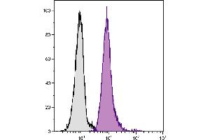 Human peripheral blood granulocytes were stained with Mouse Anti-Human CD33-PE/CY5. (CD33 Antikörper  (SPRD))