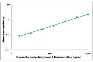 Representative Standard Curve (CA9 ELISA Kit)