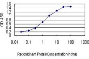 Detection limit for recombinant GST tagged IL23R is approximately 0. (IL23R Antikörper  (AA 553-628))