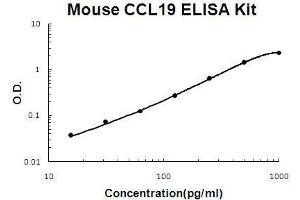 Mouse CCL19 PicoKine ELISA Kit standard curve (CCL19 ELISA Kit)