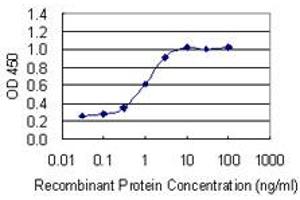 Detection limit for recombinant GST tagged TFEB is 0. (TFEB Antikörper  (AA 1-476))