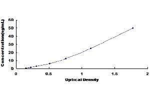 Typical Standard Curve (MMP11 ELISA Kit)