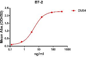 ELISA plate pre-coated by 2 μg/mL (100 μL/well) Human B7-2 protein, mFc-His tagged protein ABIN6961107, ABIN7042243 and ABIN7042244 can bind Rabbit anti-B7-2 monoclonal antibody  (clone: DM84) in a linear range of 1-100 ng/mL. (CD86 Antikörper  (AA 26-247))