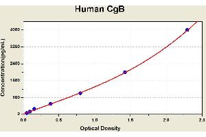 Diagramm of the ELISA kit to detect Human CgBwith the optical density on the x-axis and the concentration on the y-axis. (CHGB ELISA Kit)