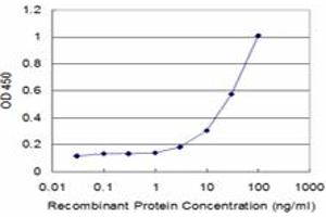 Detection limit for recombinant GST tagged SNX1 is approximately 3ng/ml as a capture antibody. (Sorting Nexin 1 Antikörper  (AA 166-275))