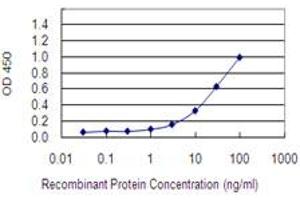 ELISA image for anti-Argonaute 2 (AGO2) (AA 1-377) antibody (ABIN565346)