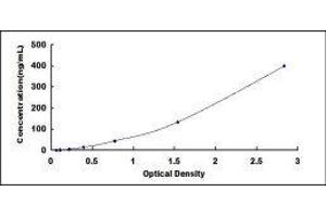 ELISA image for Hemoglobin ELISA Kit (ABIN1118093) (Hemoglobin ELISA Kit)