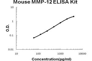 Mouse MMP-12 Accusignal ELISA Kit Mouse MMP-12 AccuSignal ELISA Kit standard curve. (MMP12 ELISA Kit)