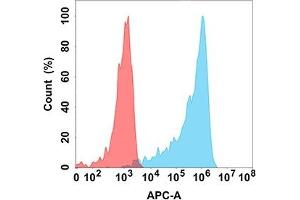 Flow cytometry analysis with Anti-IL15RA (DM206) on Expi293 cells transfected with human IL15RA (Blue histogram) or Expi293 transfected with irrelevant protein (Red histogram). (IL15RA Antikörper)