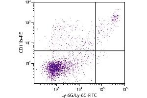 BALB/c mouse splenocytes were stained with Rat Anti-Mouse CD11b-PE. (CD11b Antikörper  (PE))